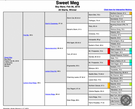 HorseID: 2305792 Sweet Meg - PhotoID: 1106277
