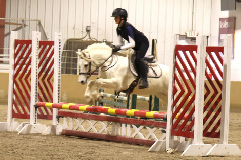 HorseID: 2306397 Judge Parker SA - PhotoID: 1105513