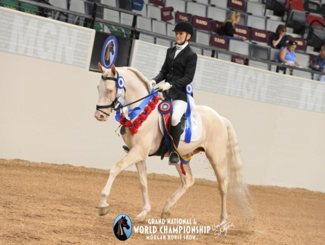 HorseID: 2308612 NSS Legendary - PhotoID: 1105581