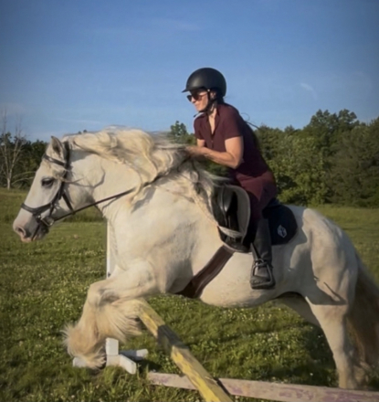HorseID: 2308976 Grant aka Jokers Wild - PhotoID: 1105749