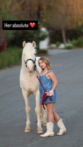 HorseID: 2311033 Marshmellow - PhotoID: 1095793