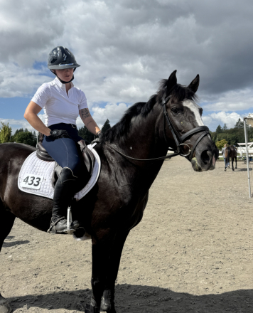 HorseID: 2313832 Second Chances - PhotoID: 1106772
