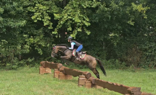 HorseID: 2313940 Rag Doll - PhotoID: 1099498