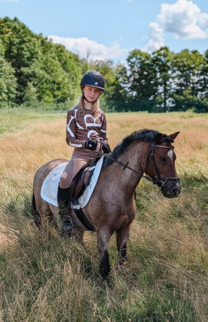 HorseID: 2316533 Picasso - PhotoID: 1103038