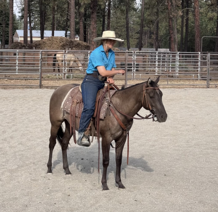 HorseID: 2316540 DXH Try Burnin One - PhotoID: 1103303