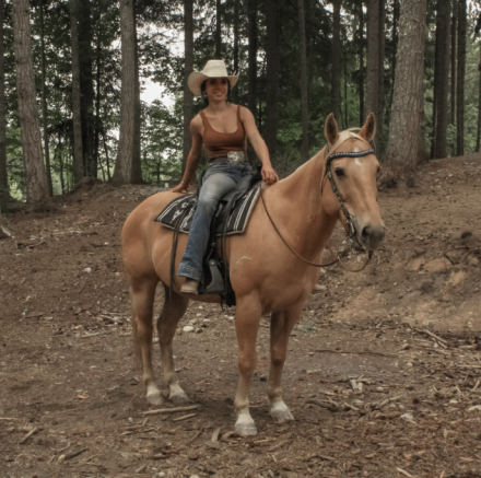HorseID: 2317304 Clyde - PhotoID: 1106310