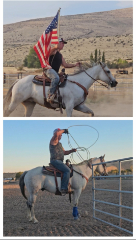HorseID: 2317927 Badger Jo Song aka Smokey - PhotoID: 1104843