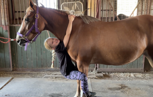 HorseID: 2317964 Perfect Pony Precious - PhotoID: 1104919
