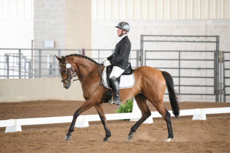 HorseID: 2317966 Bob - PhotoID: 1105464
