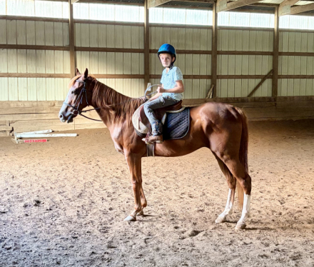 HorseID: 2318039 Royce - PhotoID: 1105831
