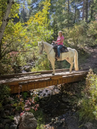 HorseID: 2318275 Renegades White Cloud - PhotoID: 1105251
