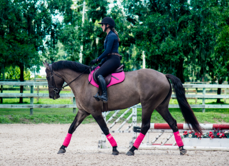HorseID: 2318359 Millie - true all around with xrays on file - PhotoID: 1105374