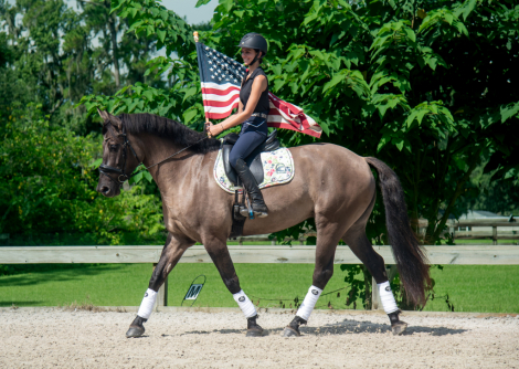HorseID: 2318359 Millie - true all around with xrays on file - PhotoID: 1105376