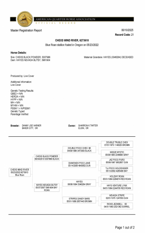 HorseID: 2318383 Chexs Wind River - PhotoID: 1105414