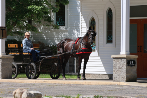 HorseID: 2318396 Sinclair - PhotoID: 1105431