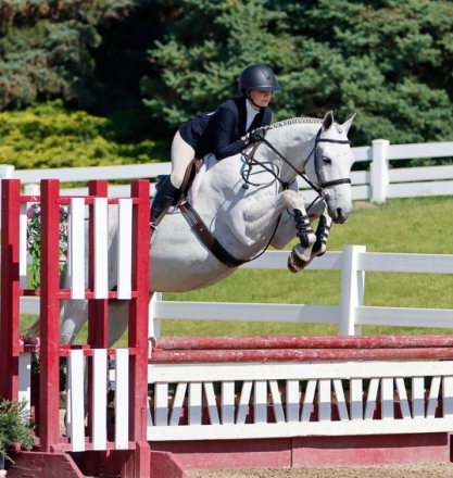 HorseID: 2318422 Calitos H - PhotoID: 1105447