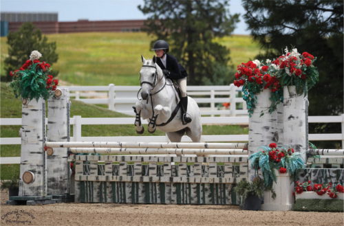HorseID: 2318422 Calitos H - PhotoID: 1105449