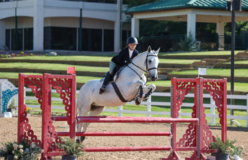HorseID: 2318422 Calitos H - PhotoID: 1105450