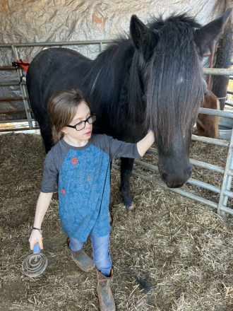 HorseID: 2318445 Melodys Rockstar Chic - PhotoID: 1105479