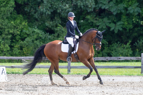 HorseID: 2318446 Valentino G - PhotoID: 1105469