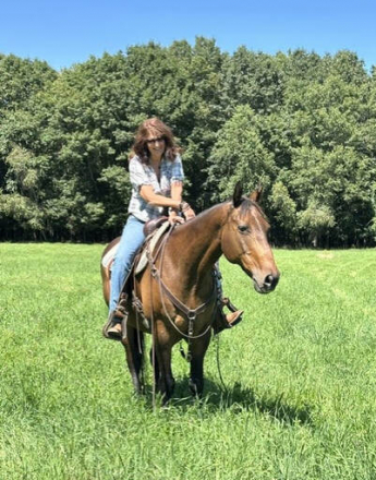 HorseID: 2318459 Bear - PhotoID: 1105493