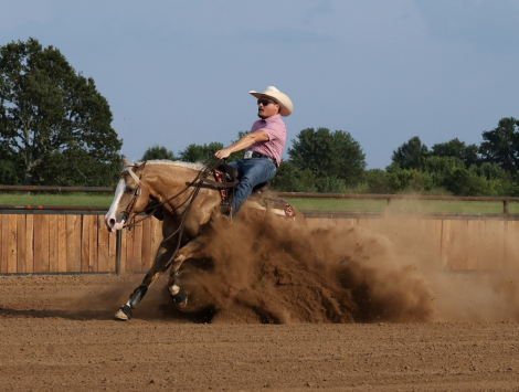 HorseID: 2318466 Big Star - PhotoID: 1105505