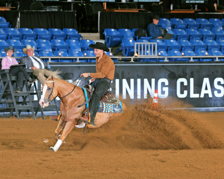 HorseID: 2318466 Big Star - PhotoID: 1105507