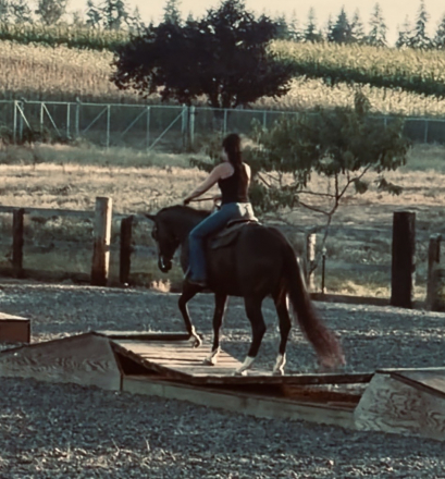 HorseID: 2318483 WAVE EM OUT WANDA - PhotoID: 1105628