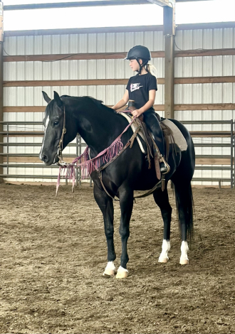 HorseID: 2318483 WAVE EM OUT WANDA - PhotoID: 1105630