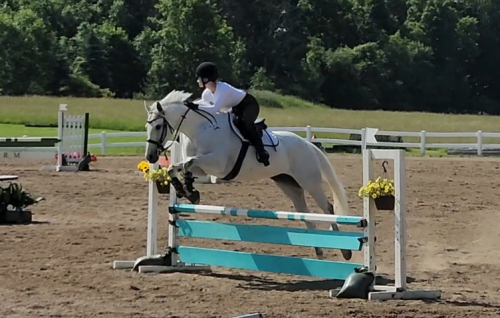 HorseID: 2318493 Tornado Lady - PhotoID: 1105550