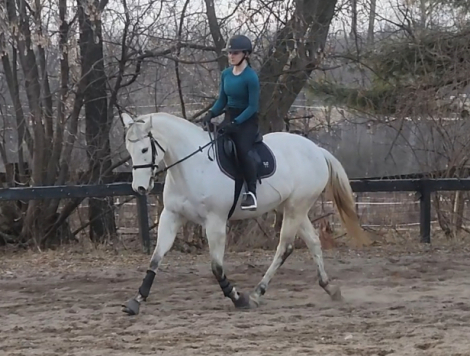 HorseID: 2318493 Tornado Lady - PhotoID: 1105552