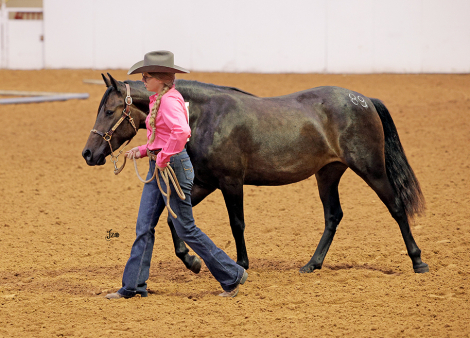 HorseID: 2318506 Tess's Version - PhotoID: 1105561