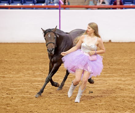 HorseID: 2318506 Tess's Version - PhotoID: 1105562