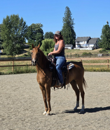 HorseID: 2318528 Prodogys Chrome GRK - PhotoID: 1105592