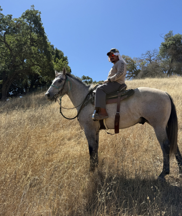 HorseID: 2318530 SJ Chick Jack - PhotoID: 1105600
