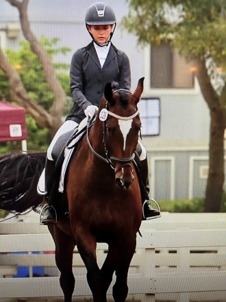 HorseID: 2318531 Griffin - PhotoID: 1105601