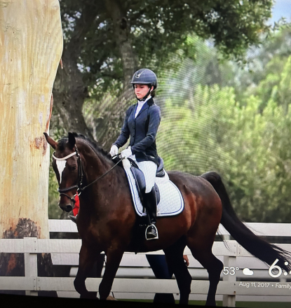 HorseID: 2318531 Griffin - PhotoID: 1105602