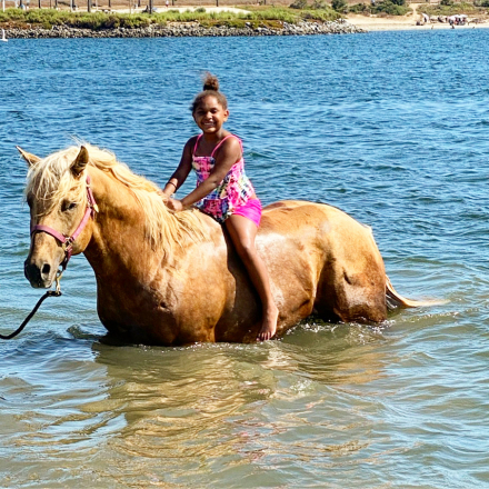 HorseID: 2318577 On The Edge Of Time - PhotoID: 1105655