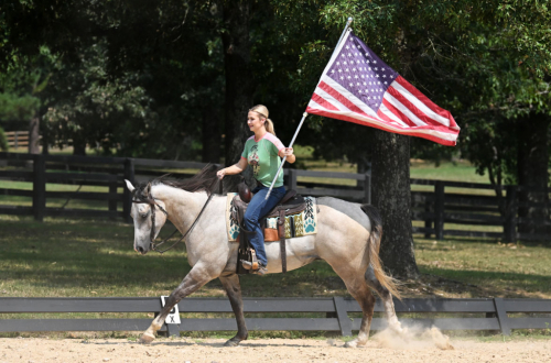 HorseID: 2318586 JBC CASHIN STAR - PhotoID: 1105669