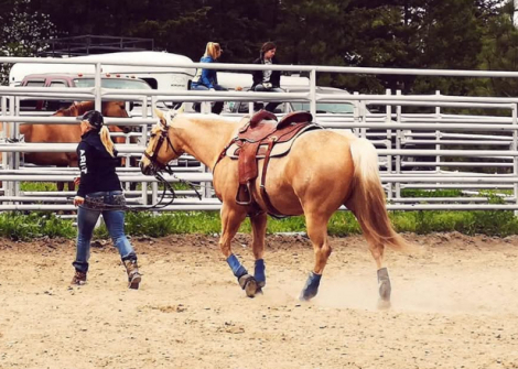 HorseID: 2318587 Purple Rio Pal - PhotoID: 1105676