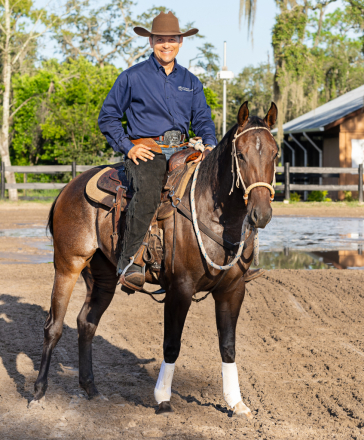 Gracie (Quarter Horse, Filly (under 4)) in Spring Hill, FL