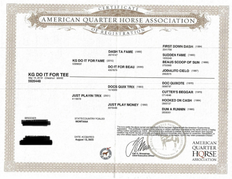 HorseID: 2318635 KG Do It For Tee - PhotoID: 1105746
