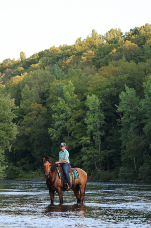 HorseID: 2318643 Kelso - PhotoID: 1105758