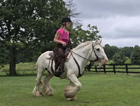 HorseID: 2318652 RLR Rorschach's Riverdance - PhotoID: 1105766