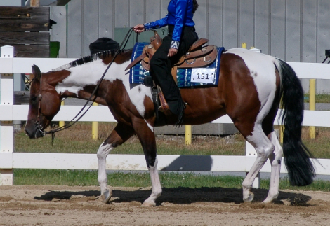 HorseID: 2318660 Formal Only - PhotoID: 1105776