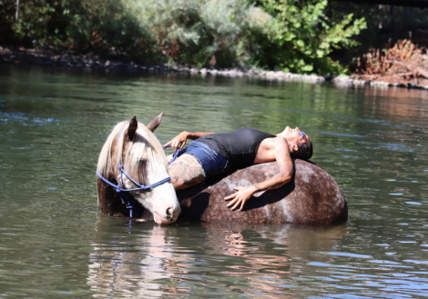 HorseID: 2318712 Dms royal selena - PhotoID: 1105889