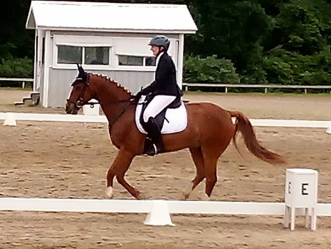 HorseID: 2318714 Wotano - PhotoID: 1105885