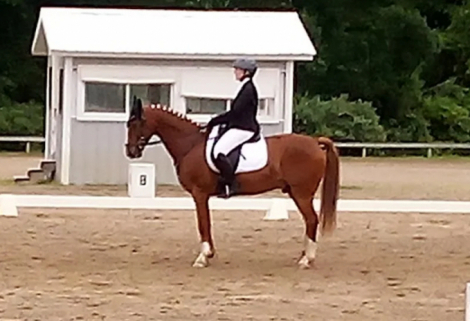 HorseID: 2318714 Wotano - PhotoID: 1105886