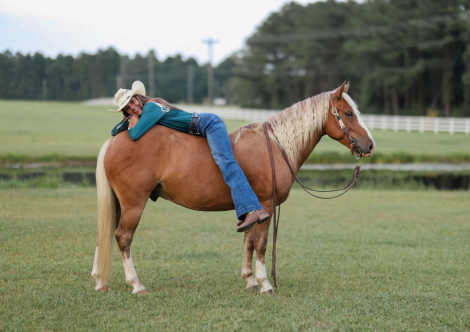 HorseID: 2318716 DYLAN - PhotoID: 1105899