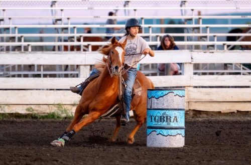 HorseID: 2318745 Lil Chic - PhotoID: 1105933